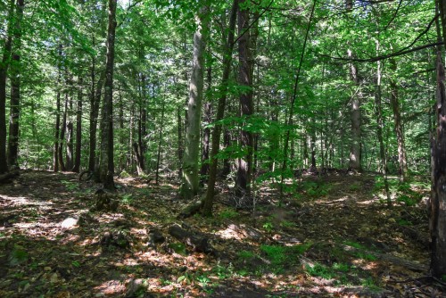 Terre/Terrain - 28 Rue Du Saturnie, Saint-Hippolyte, QC 