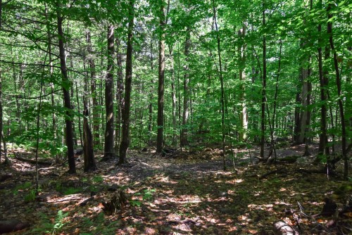 Terre/Terrain - 28 Rue Du Saturnie, Saint-Hippolyte, QC 