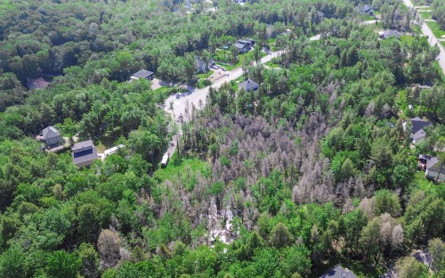 Terre/Terrain - 28 Rue Du Saturnie, Saint-Hippolyte, QC 