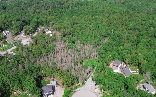 Terre/Terrain - 28 Rue Du Saturnie, Saint-Hippolyte, QC 