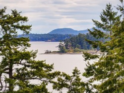 #29-2353 Harbour Rd Sidney, BC V8L 3X8