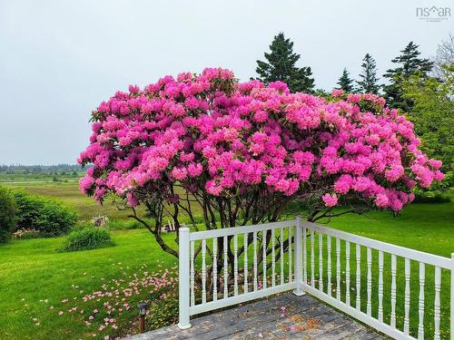 108 Highway 304, Overton, NS 