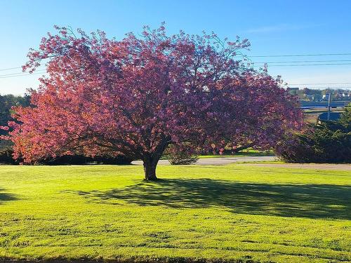 108 Highway 304, Overton, NS - Outdoor With View