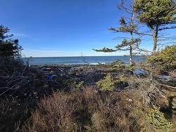 Lot Shore Road W  Delaps Cove, NS B0P 1E0
