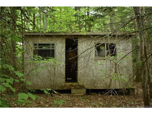 201 Levy Rd, Osborne Corner, NB 