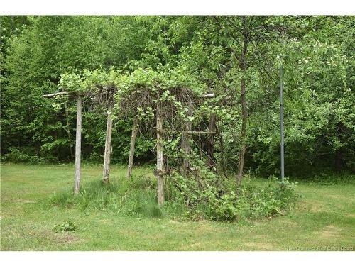 201 Levy Rd, Osborne Corner, NB 