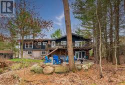 Large yard - 