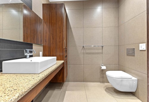 Master Bathroom - 96 Rue Brodeur, Vaudreuil-Dorion, QC - Indoor Photo Showing Bathroom