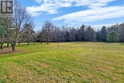 Backyard - 