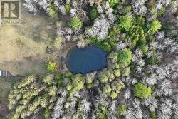 Pond & stream - 