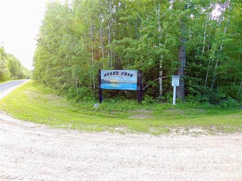 53 Ayers Cove, Manigotagan, MB 