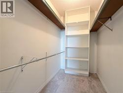 Walk-in closet featuring built-in shelving, a metal hanging rod, upper storage shelving, light-toned carpeting, and neutral wall finishes - 