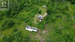 LT25 RAMBLEWOOD TRAIL Kawartha Lakes, ON K0M 2B0