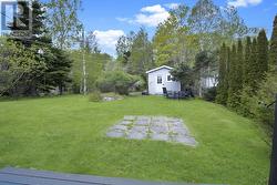 Backyard - 