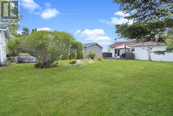 Backyard - 