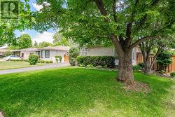 A Rare Opportunity to Secure a Premium Lot! - 