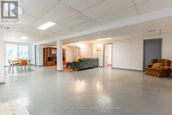 lower level rec room - 