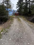 26 Pinchgut Road  Pinchgut Lake, NL A2H 2E0