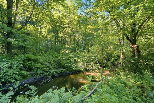 Extérieur - 79 Rue De La Sarre, Granby, QC - Outdoor