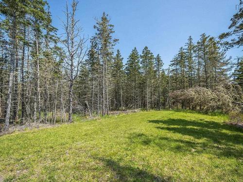 70 Seaside Drive, Louis Head, NS 