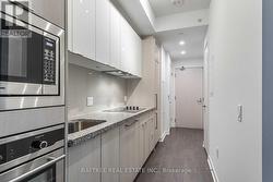 703 - 115 BLUE JAYS WAY Toronto, ON M5V 3T3
