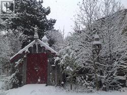 Winter Wonderland - 