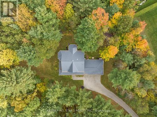 29 Robert Boulevard, Springwater, ON 
