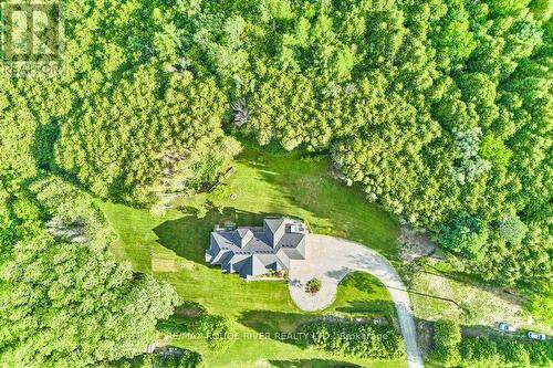 4199 Hwy 2 Highway E, Clarington, ON 