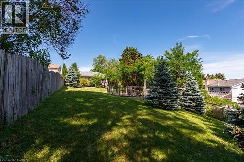 Expansive grassy backyard featuring a tall wooden fence, mature evergreen trees, lush green landscaping, and a partial view of a neighboring property - 907 Doon Village Road, Kitchener, ON - Outdoor