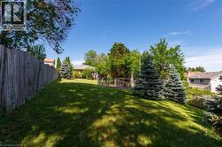 Expansive grassy backyard featuring a tall wooden fence, mature evergreen trees, lush green landscaping, and a partial view of a neighboring property - 