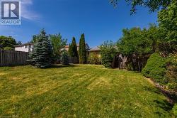 Expansive grassy yard area with mature evergreen trees and a wood fence border - 
