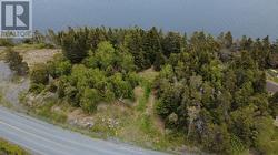 141-143 Ferndale Road Ferndale, NL A0B 2G0