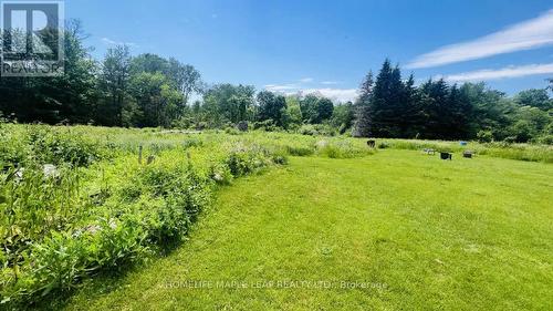 9340 Danforth Road E, Cobourg, ON 