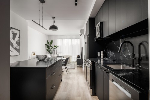 Kitchen - 212-1020 Rue Levert, Montréal (Verdun/Île-Des-Soeurs), QC 