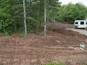 Mount Pleasant Road, Mount Pleasant, NS 