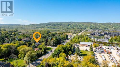 734 MOUNTAIN ROAD , Collingwood, Ontario L9Y 5G1 3