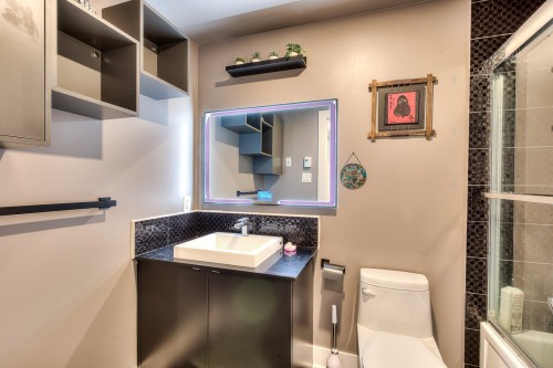 Bathroom - 304-3950 Rue Sherbrooke E., Montréal (Mercier/Hochelaga-Maisonneuve), QC 