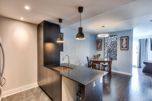 Overall view - 304-3950 Rue Sherbrooke E., Montréal (Mercier/Hochelaga-Maisonneuve), QC 