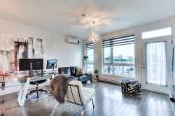 Living Room - 