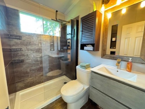 Bathroom - 4 Rue Gaston-Lallement, Gatineau (Aylmer), QC - Indoor Photo Showing Bathroom