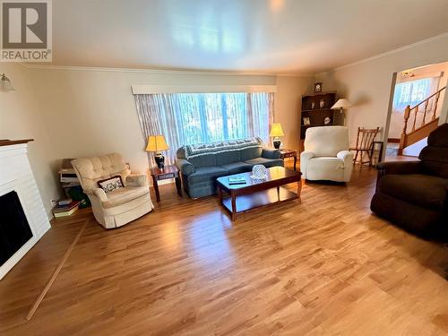 3 Willow Road, Grand Falls - Windsor, NL - Indoor Photo Showing Living Room With Fireplace