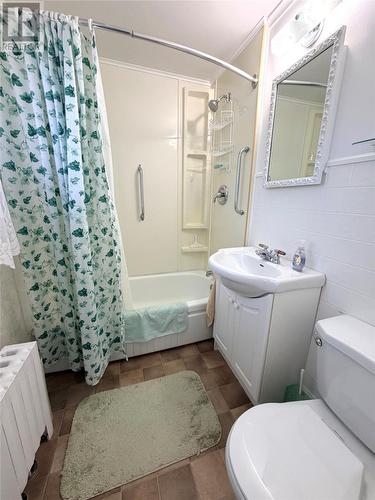 3 Willow Road, Grand Falls - Windsor, NL - Indoor Photo Showing Bathroom