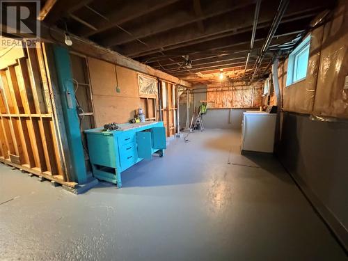 3 Willow Road, Grand Falls - Windsor, NL - Indoor Photo Showing Basement