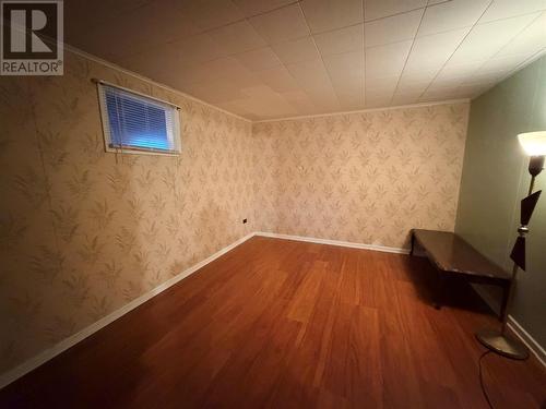 3 Willow Road, Grand Falls - Windsor, NL - Indoor Photo Showing Other Room