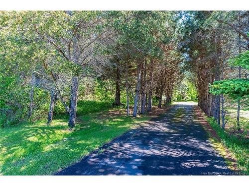 166 Route 960, Cape Tormentine, NB 