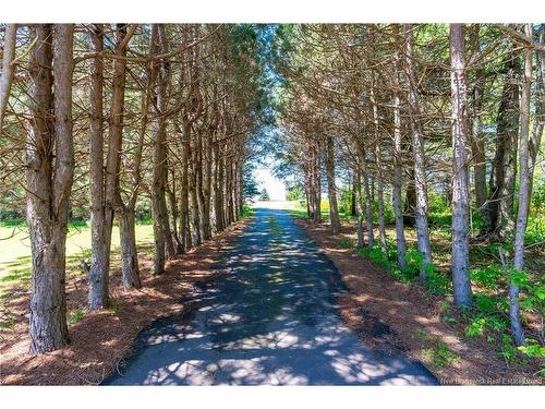 166 Route 960, Cape Tormentine, NB 
