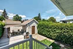 Shed - 
