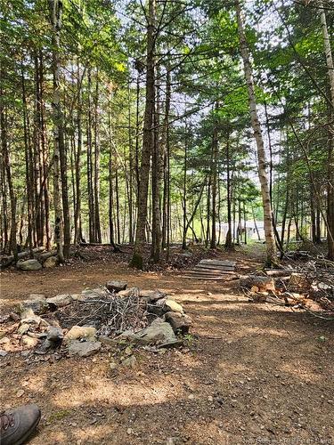 6 New Rd, Salt Springs, NB 
