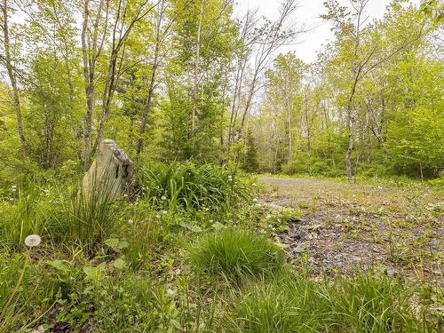 13 Cottage Lane, Windsor Junction, NS 