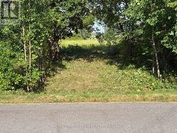 161 OLD PAKENHAM ROAD Ottawa, ON K0A 1X0